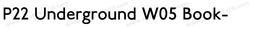 P22 Underground W05 Book字体转换